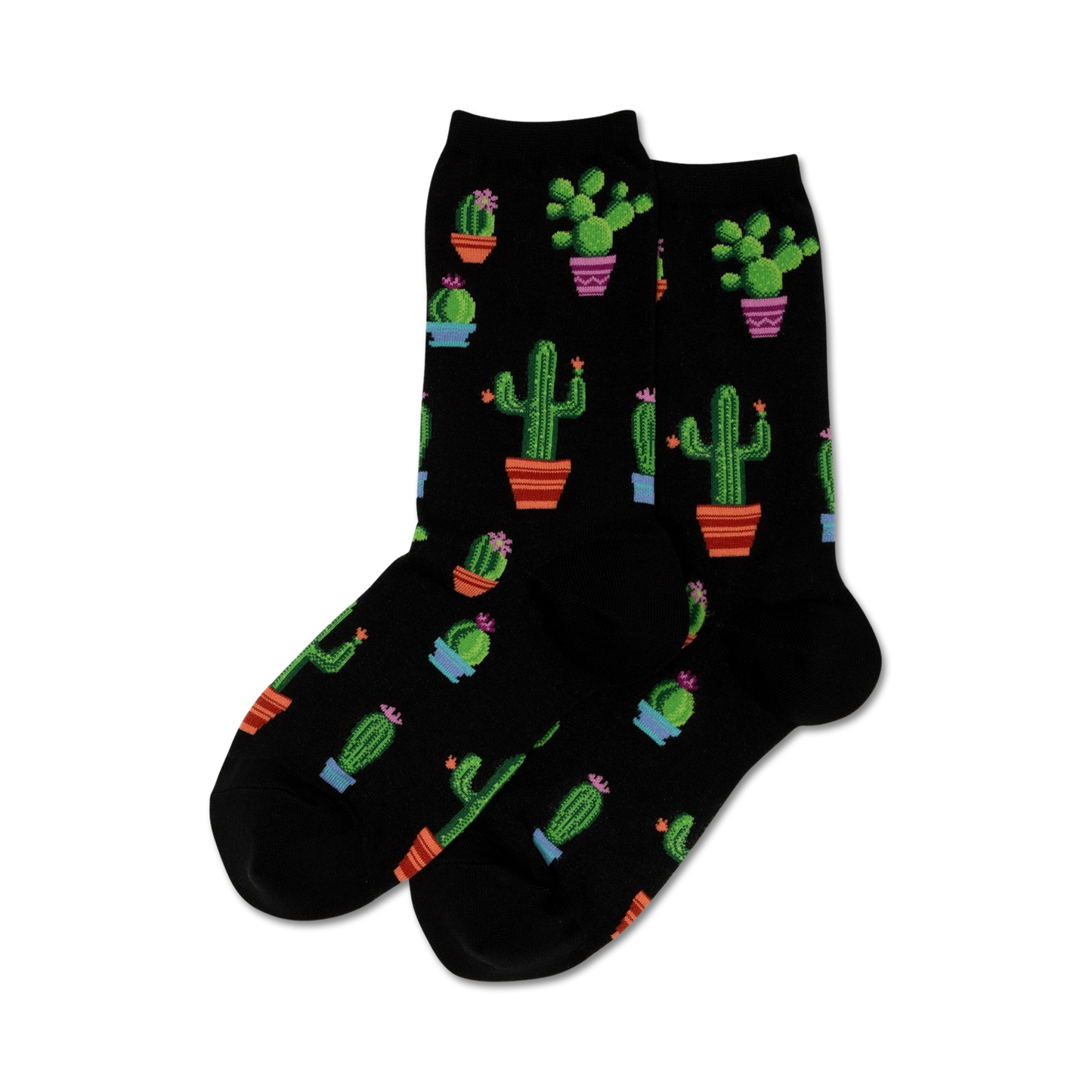 Potted Cactus