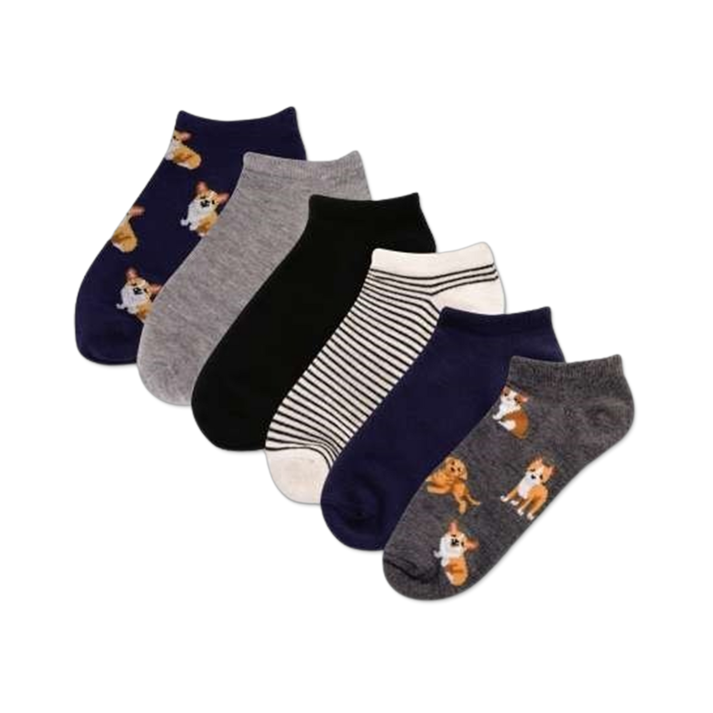 Dogs 6 Pack
