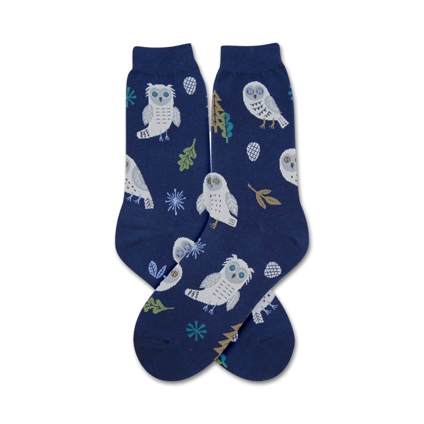 Snowy Owl