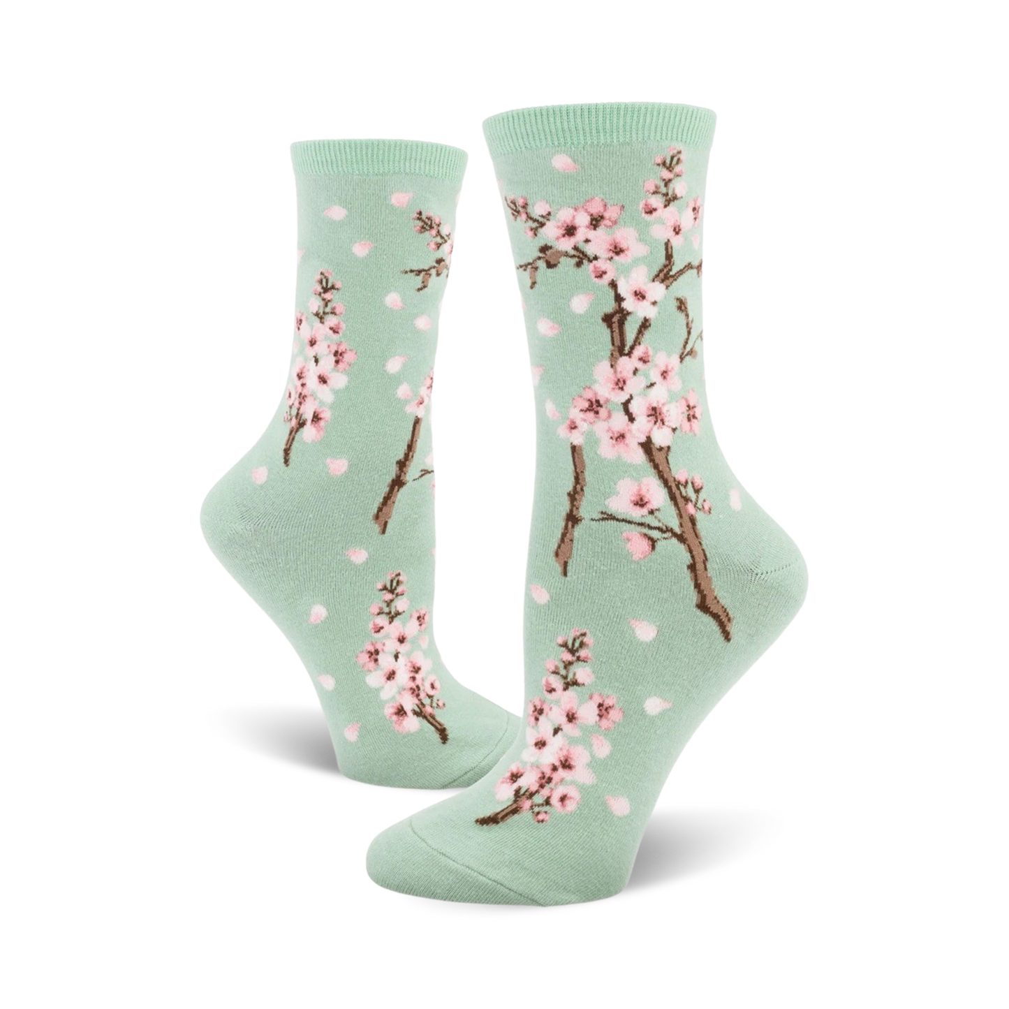 Cherry Blossom