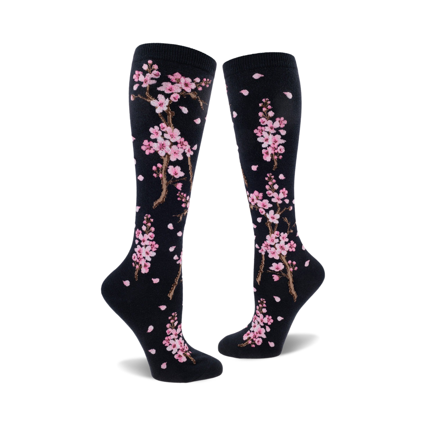 Cherry Blossom