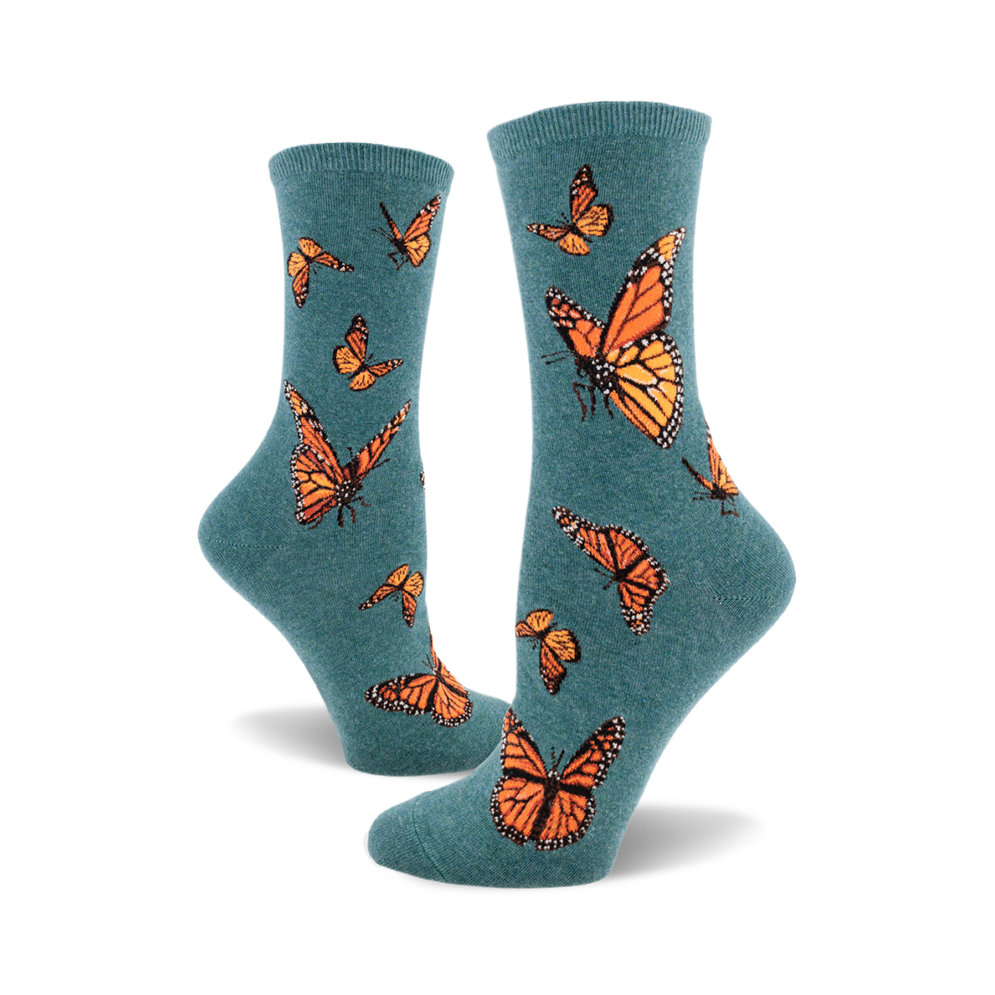 Monarch Butterfly