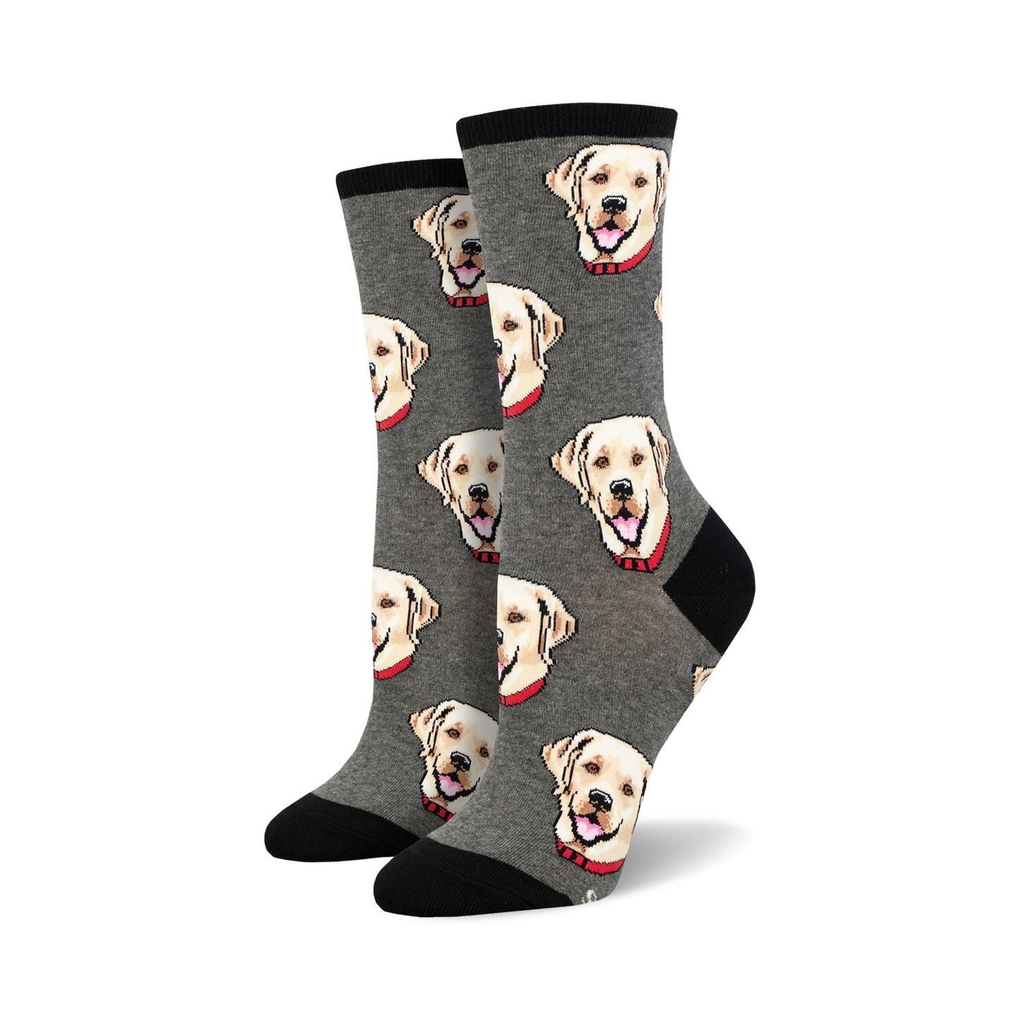 Labrador