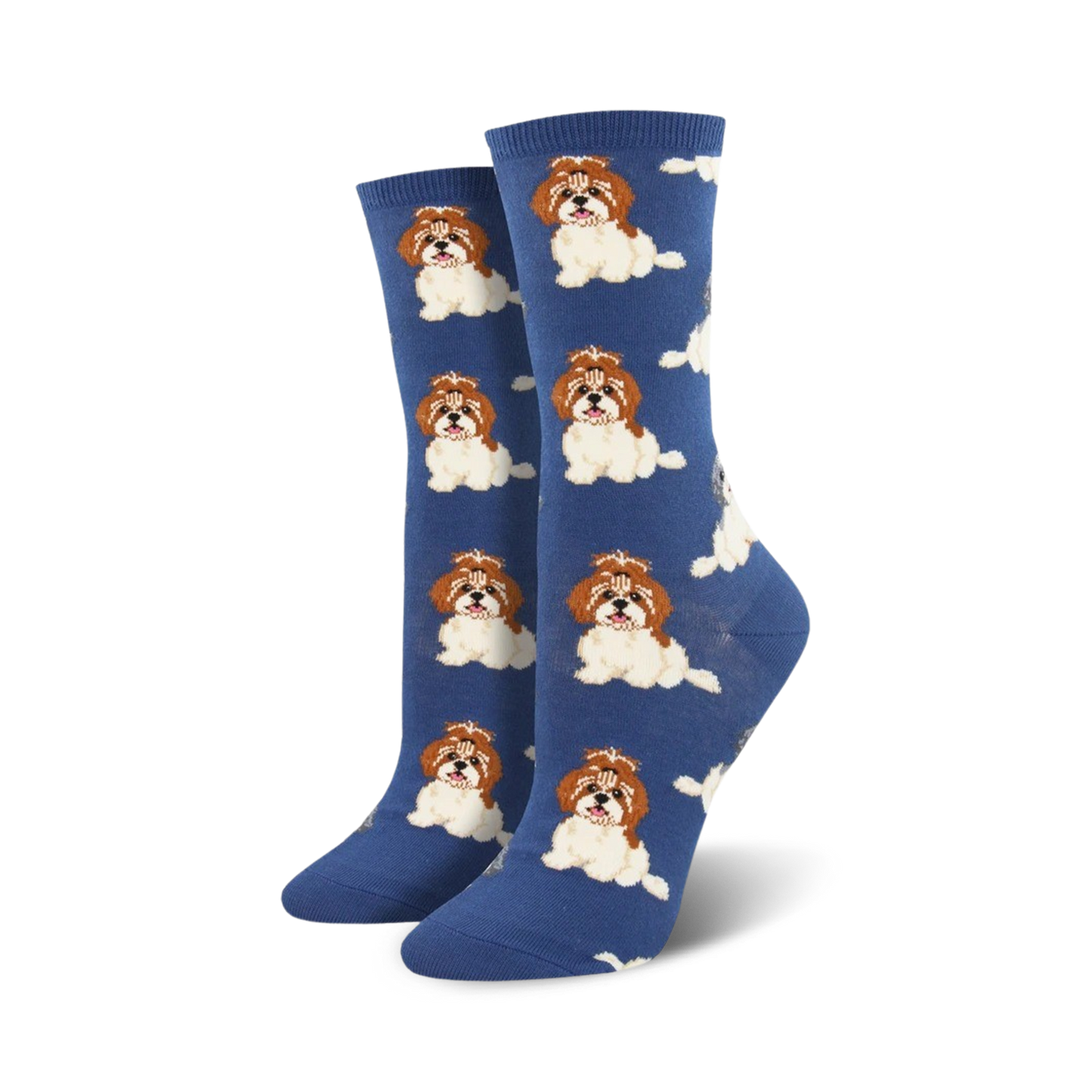 I Shih Tzu Not