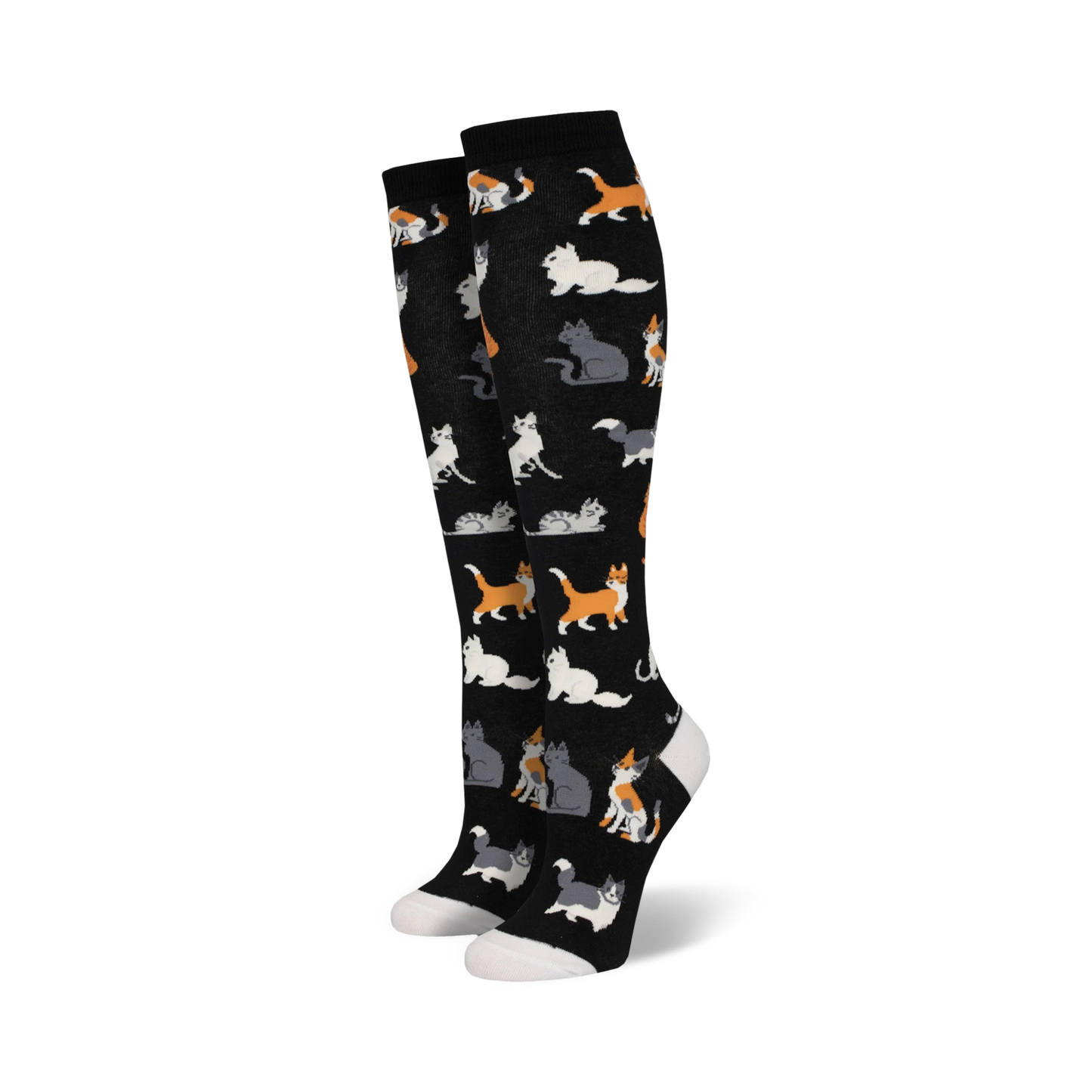 The Cats Meow