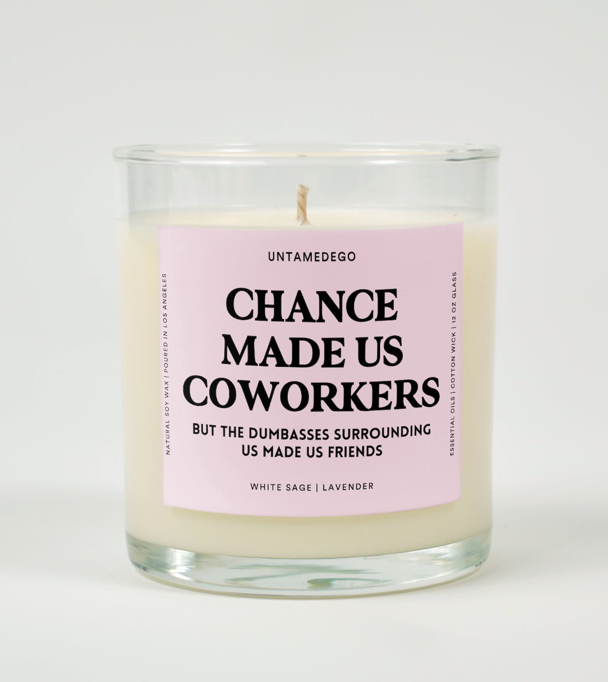 Chance Made Us Coworkers But The Dumbasses Surrounding Us Made Us Friends Glass Candle