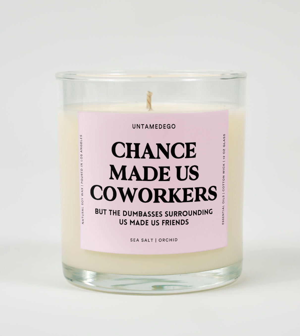 Chance Made Us Coworkers But The Dumbasses Surrounding Us Made Us Friends Glass Candle