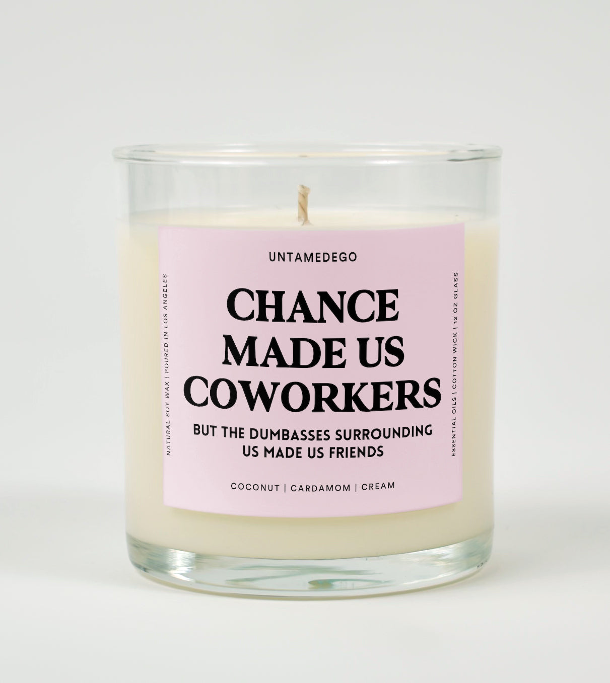 Chance Made Us Coworkers But The Dumbasses Surrounding Us Made Us Friends Glass Candle