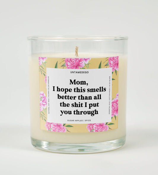 I Hope This Smellls Better Than All The Shit I Put You Through Glass Candle