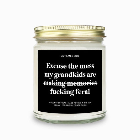 Excuse The Mess Funny Grandma Candle