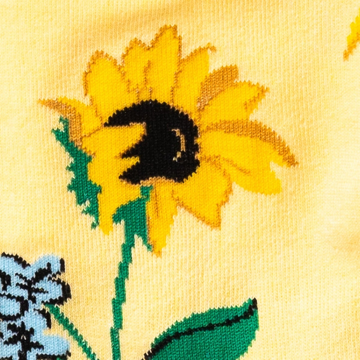 Here Comes the Sun
