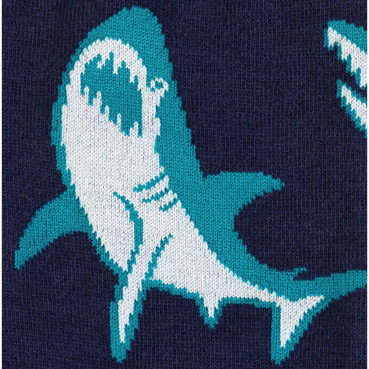 Shark Attack