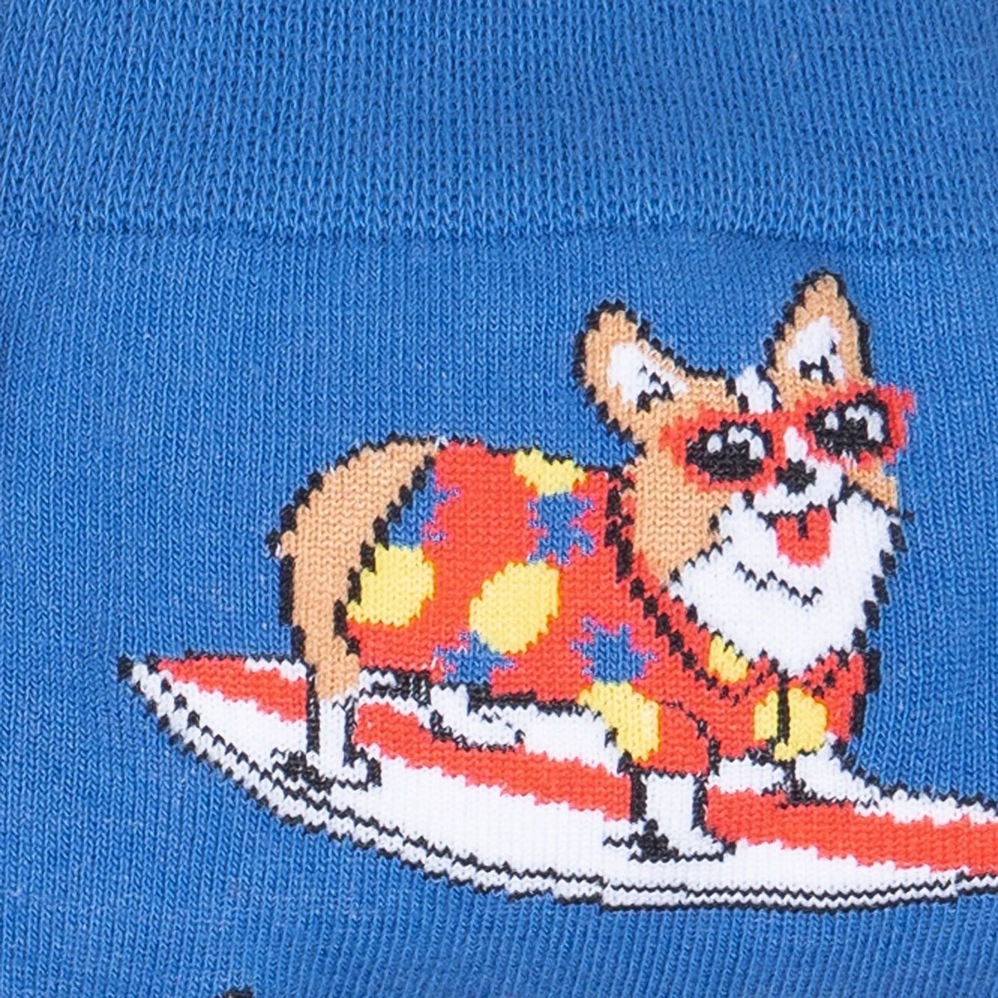 Corgi-bunga!