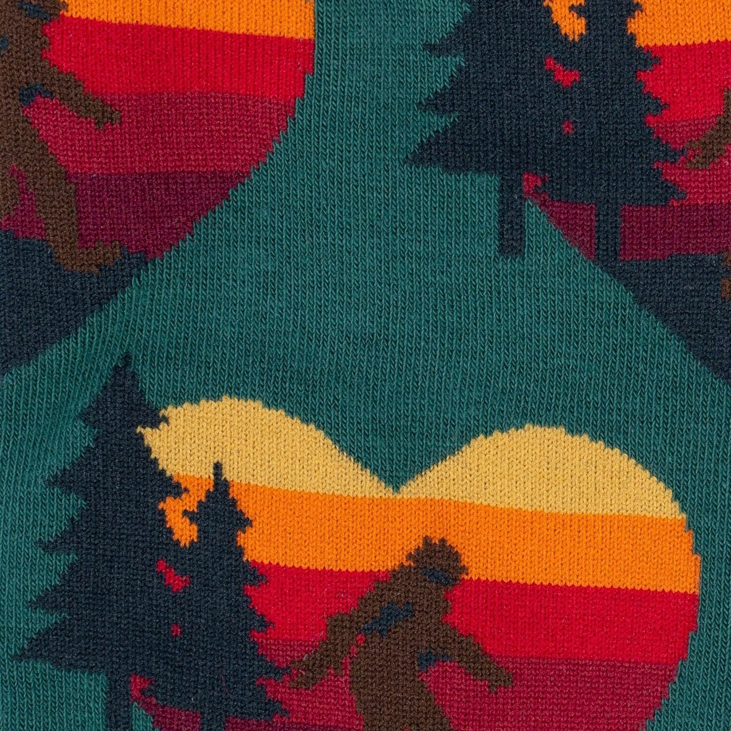 Seeking Sasquatch