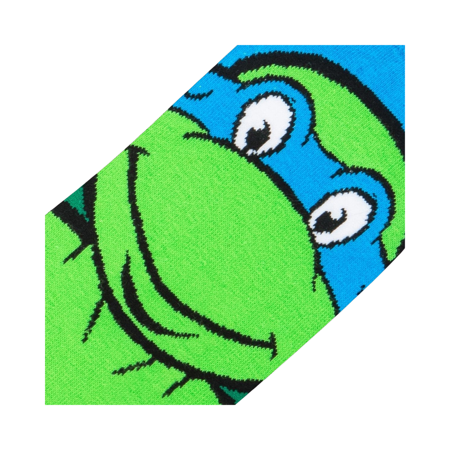TMNT: Teenage Mutant Ninja Turtles Leonardo