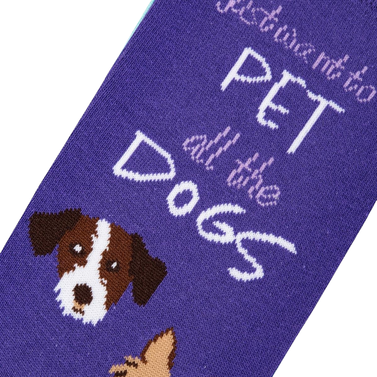 Pet All The Dogs