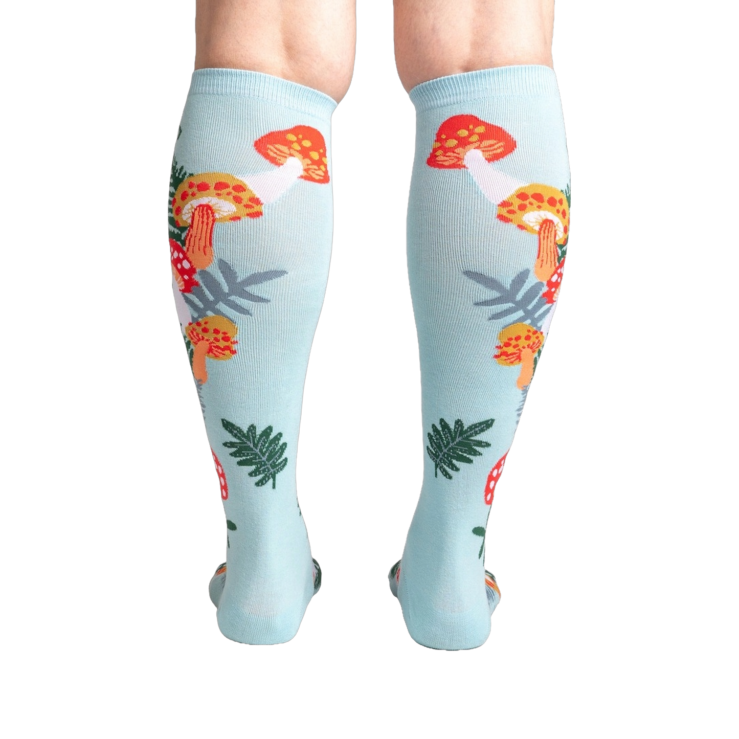 Wonderland Mushrooms
