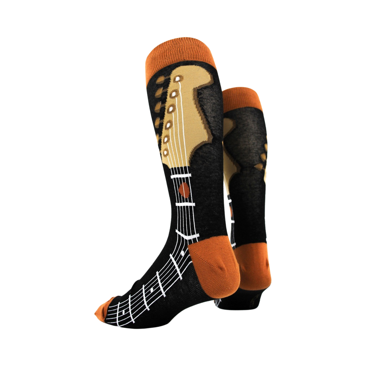 Guitar Neck