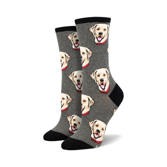 Labrador