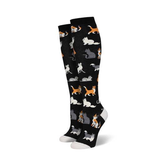 The Cats Meow
