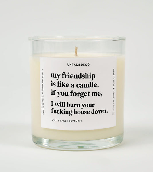 My Friendship Is Like A Candle Glass Candle