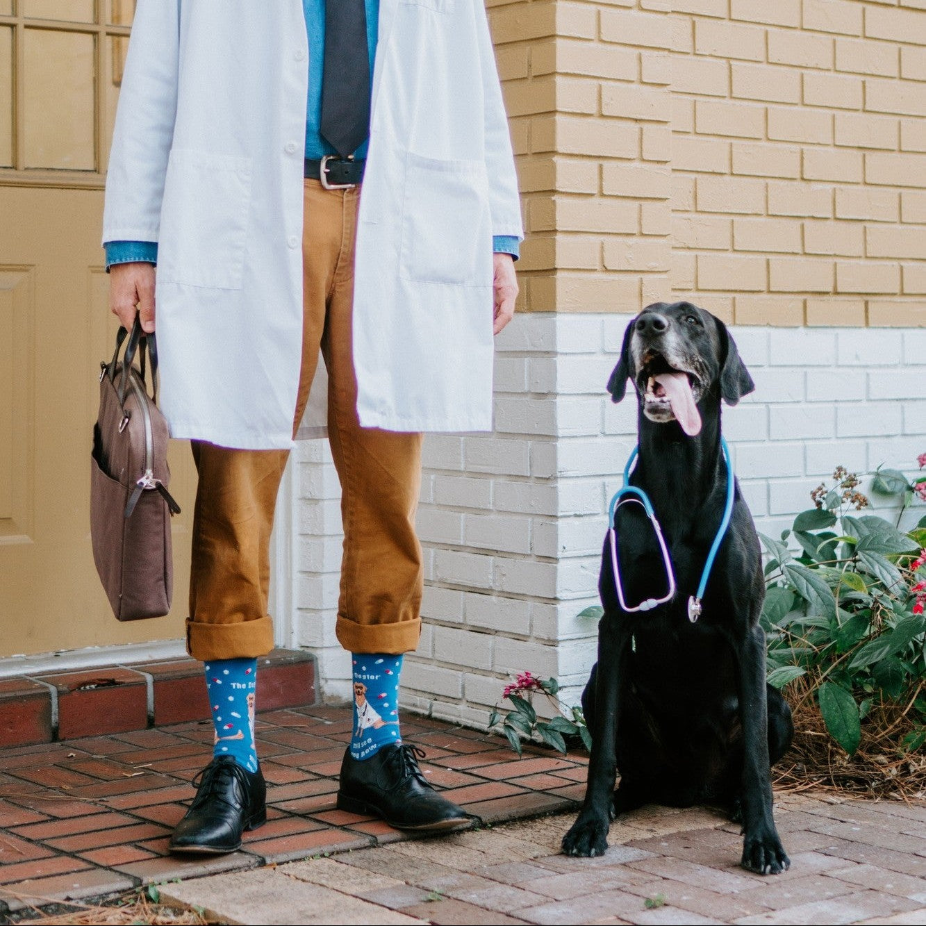 The Dogtor Is In