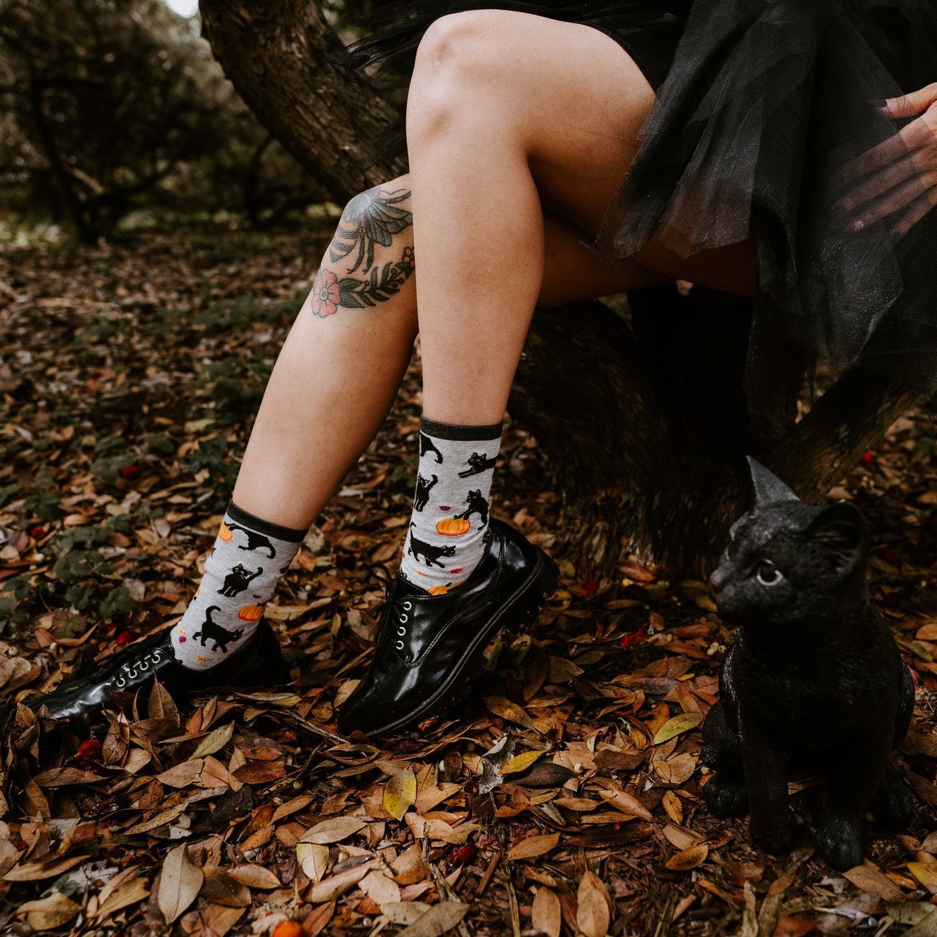 Black Cat Halloween