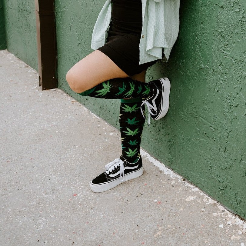 Herb Garden