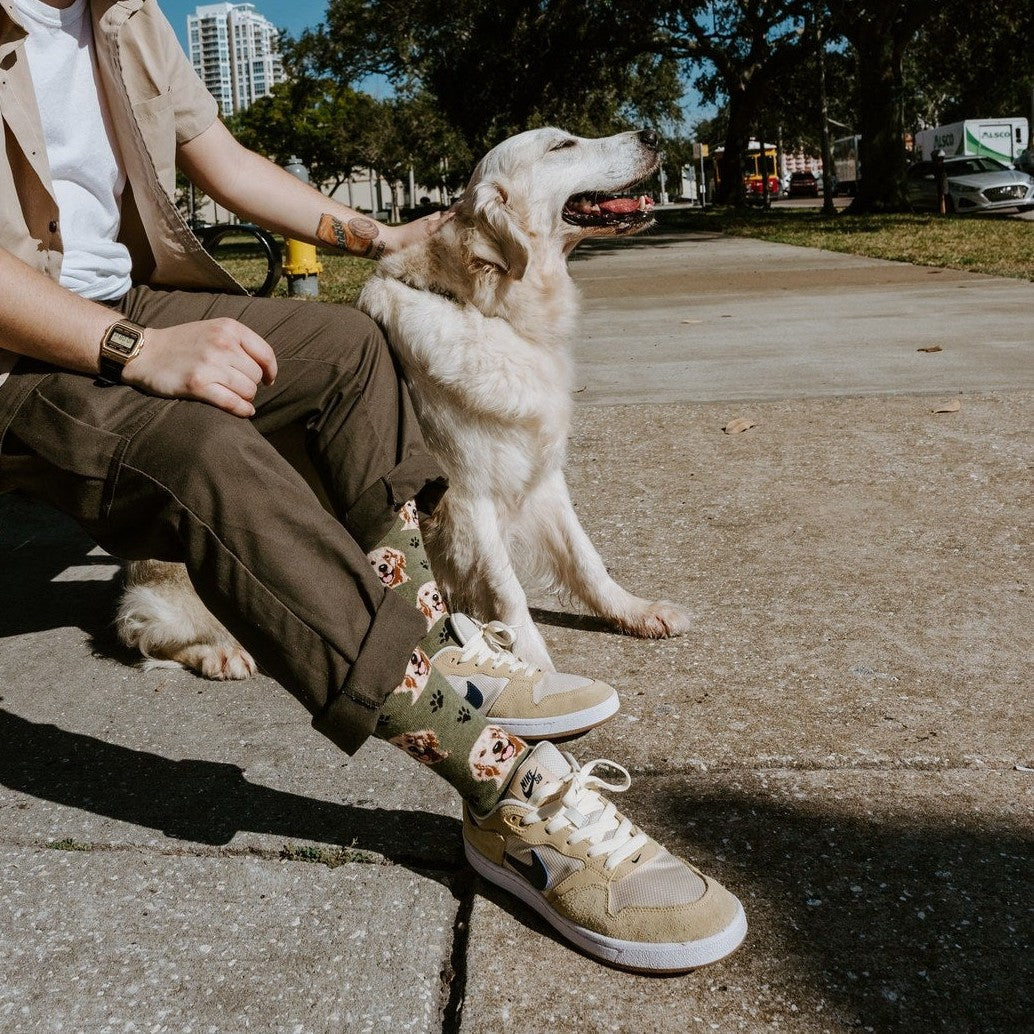 Who's A Good Boy?
