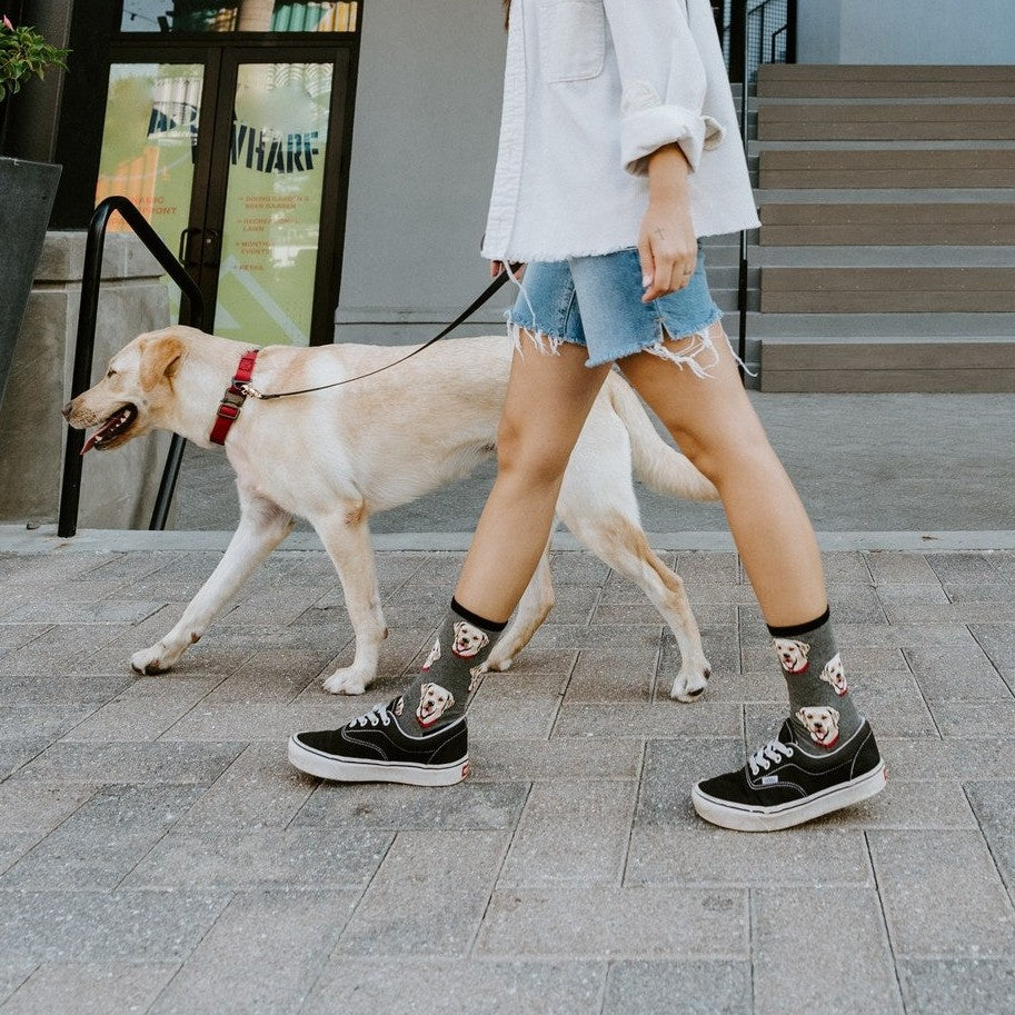 Labrador