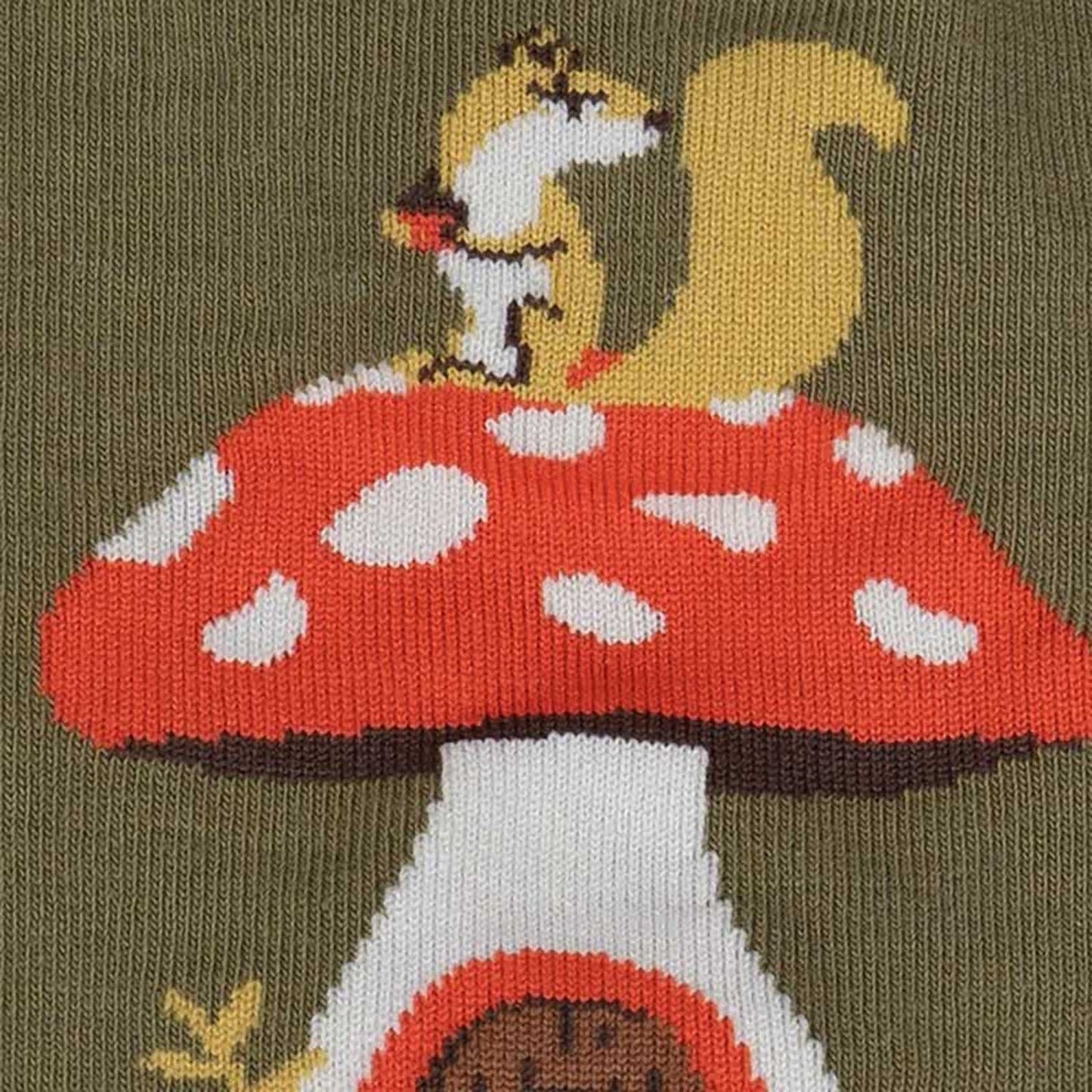 Shroom and Board