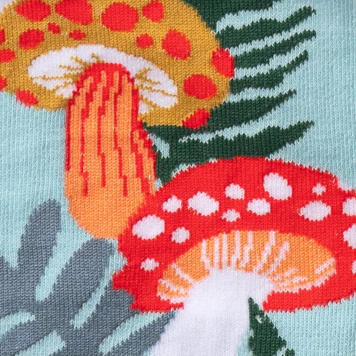 Wonderland Mushrooms