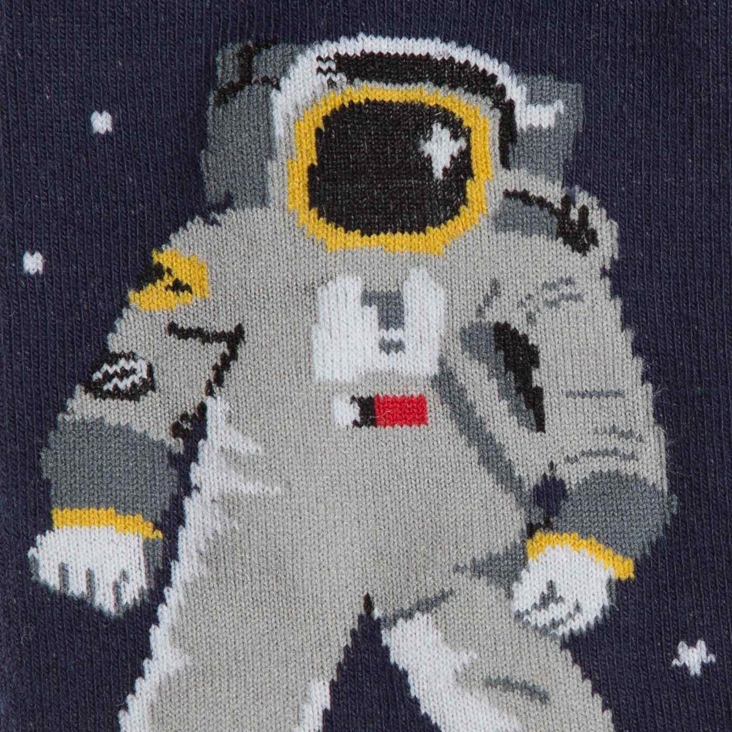 One Giant Leap