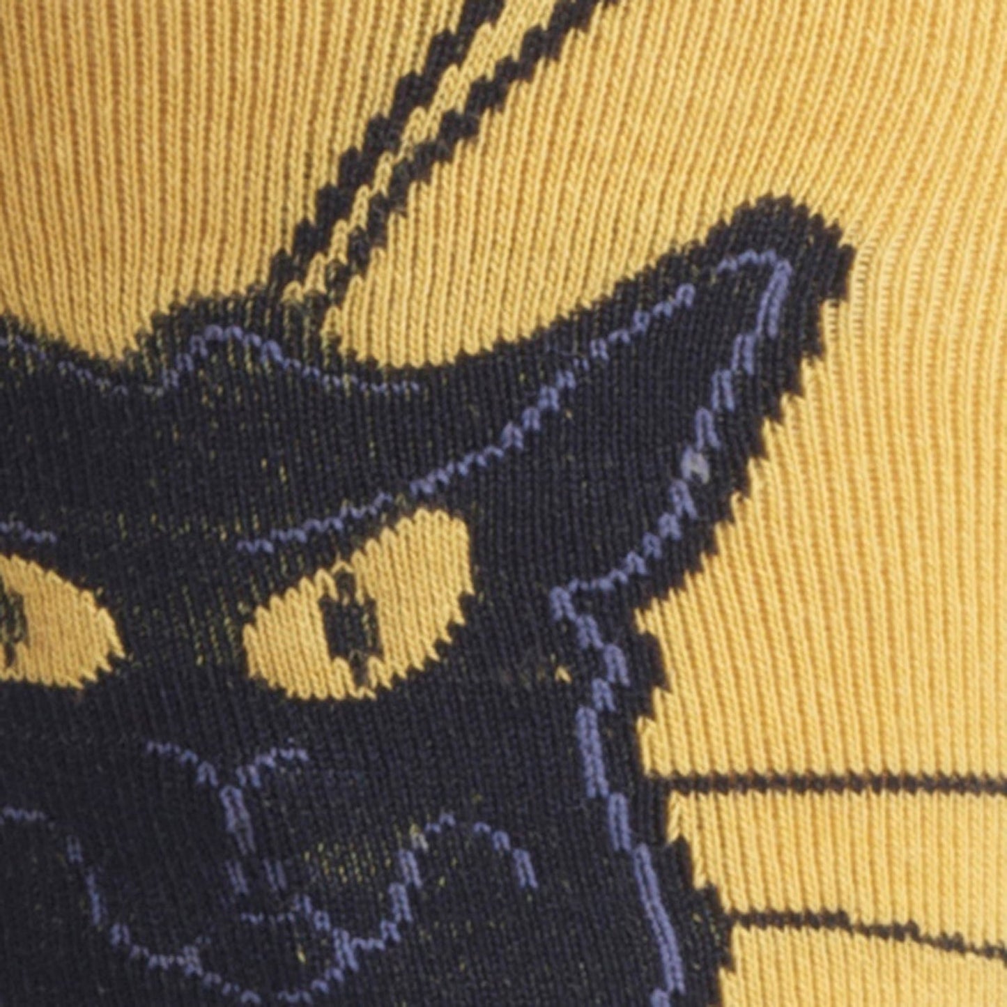 Chat Noir