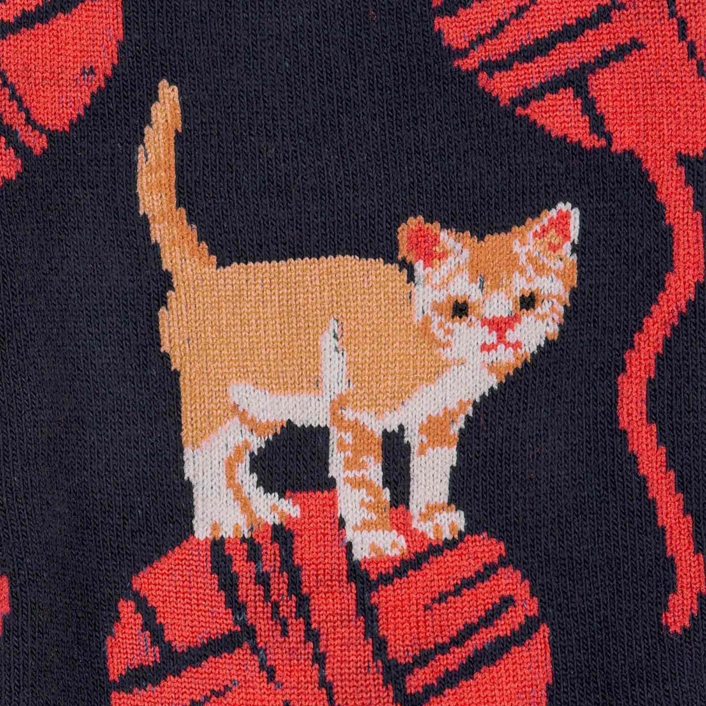 Kitten Knittin