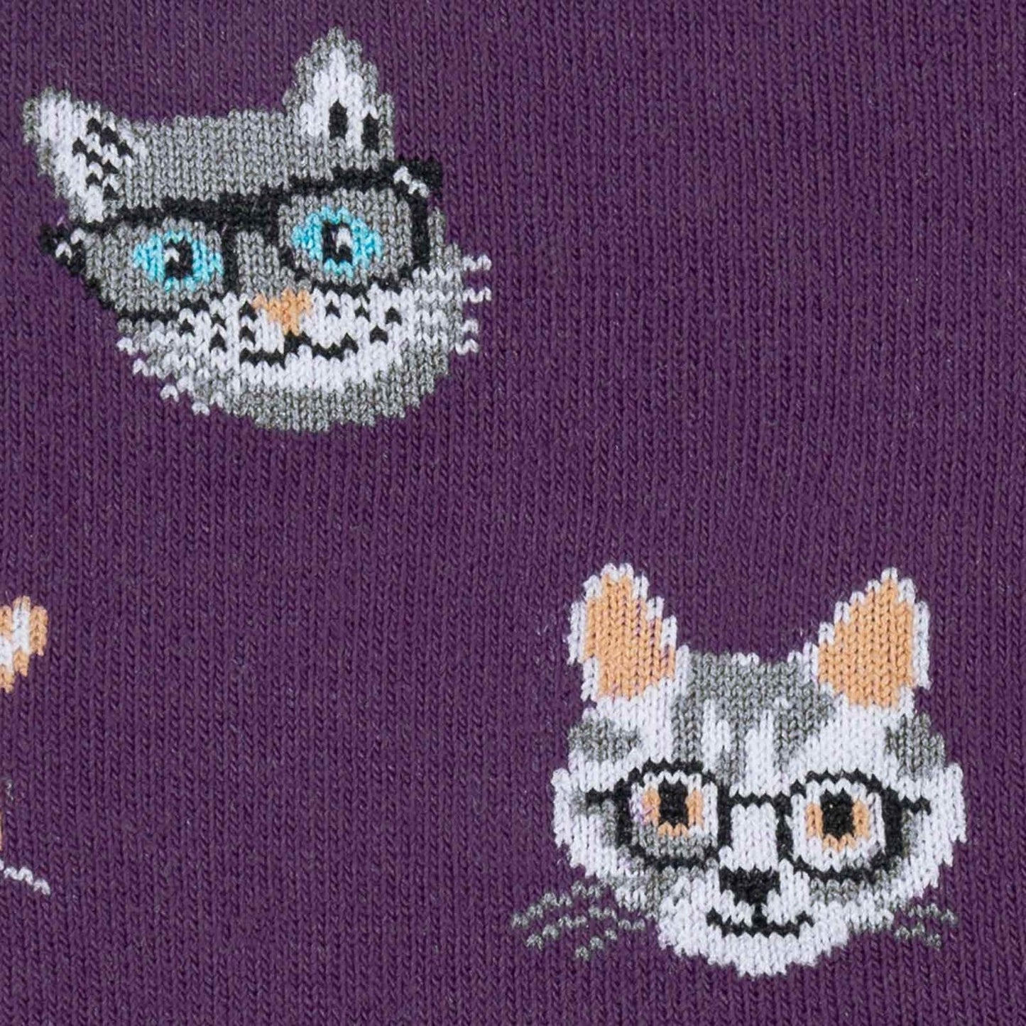 Smarty Cats